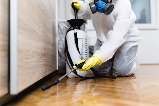 Best Pest Control Treatment  in Crugers, NY