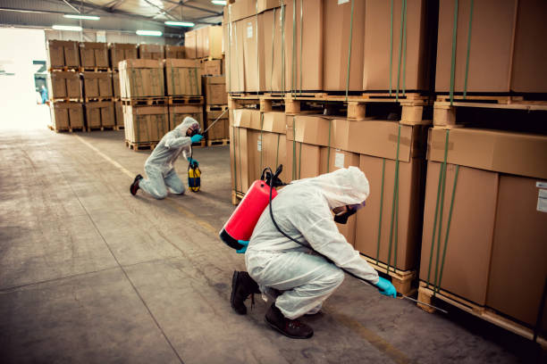 Professional Pest Control in Crugers, NY