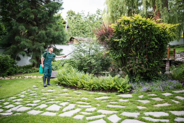 Best Insect Control  in Crugers, NY
