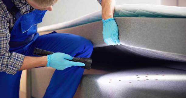 Best Wasp Removal Services  in Crugers, NY