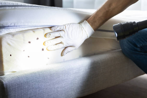 Best Residential Pest Control  in Crugers, NY