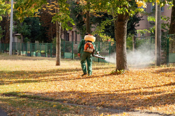 Best Termite Control Services  in Crugers, NY