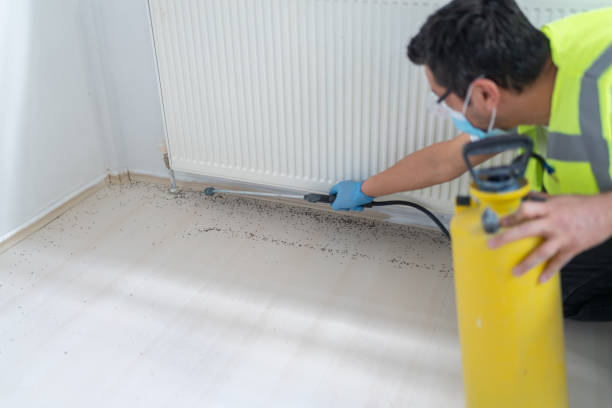Best Ant Control Services  in Crugers, NY