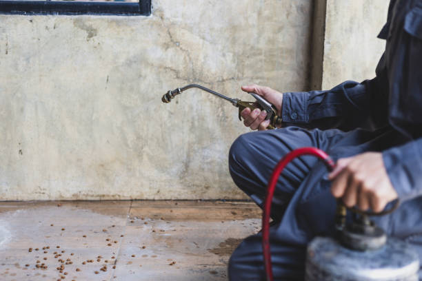 Best Pest Removal Services  in Crugers, NY
